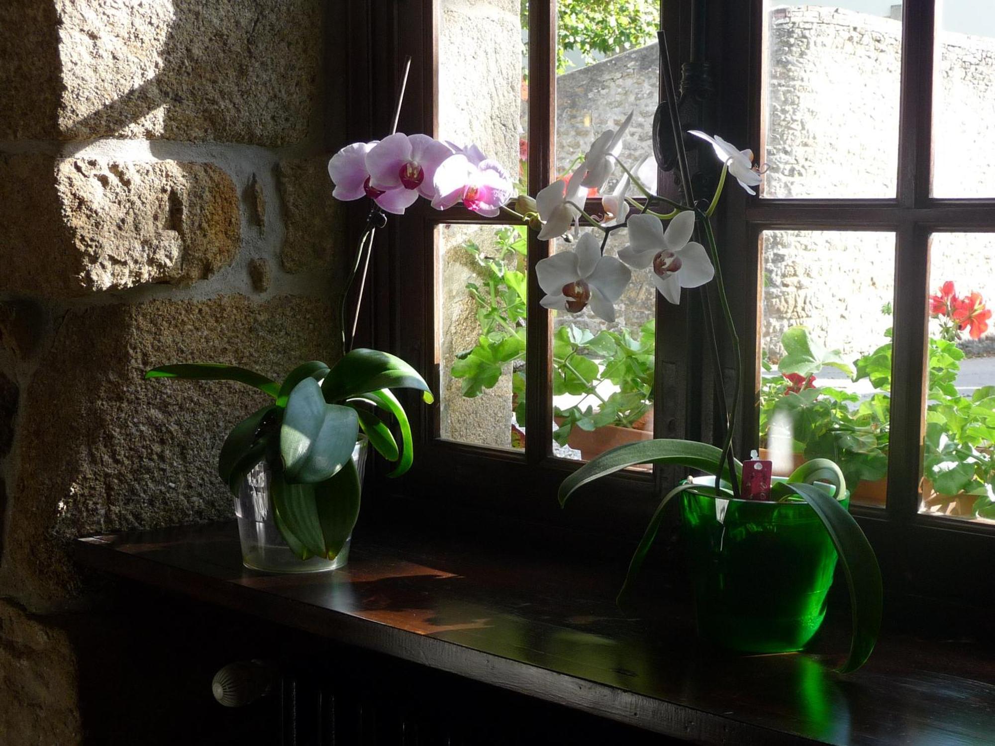 Auberge Le Ratelier Carnac Exterior foto